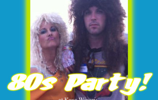 Lisa and Chris Turning 40! It's an 80s Party.
