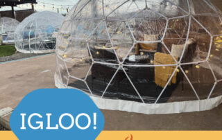 HopTown igloo